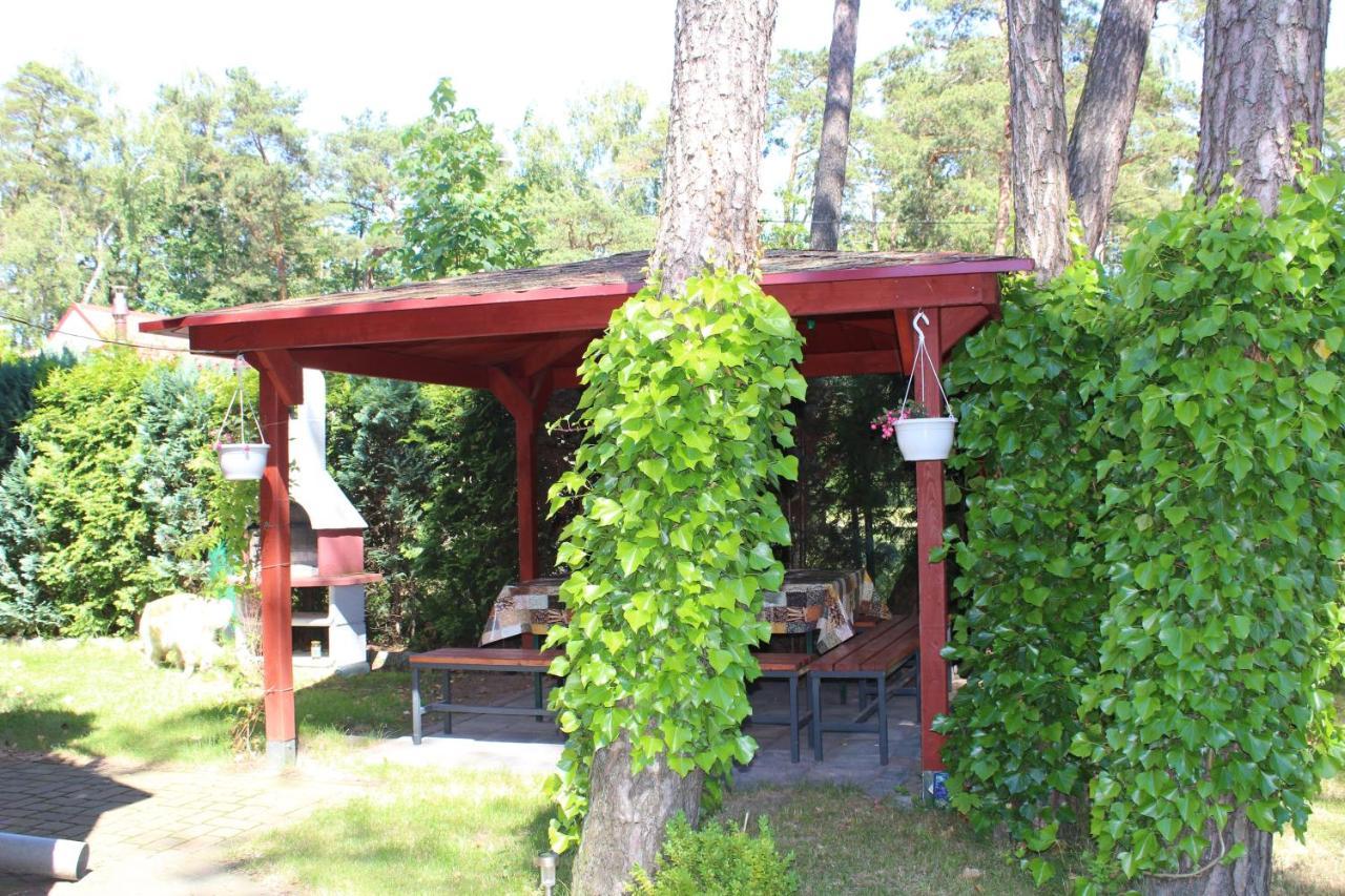 Bed and Breakfast Dom Pod Sosnami Mielno  Exterior foto